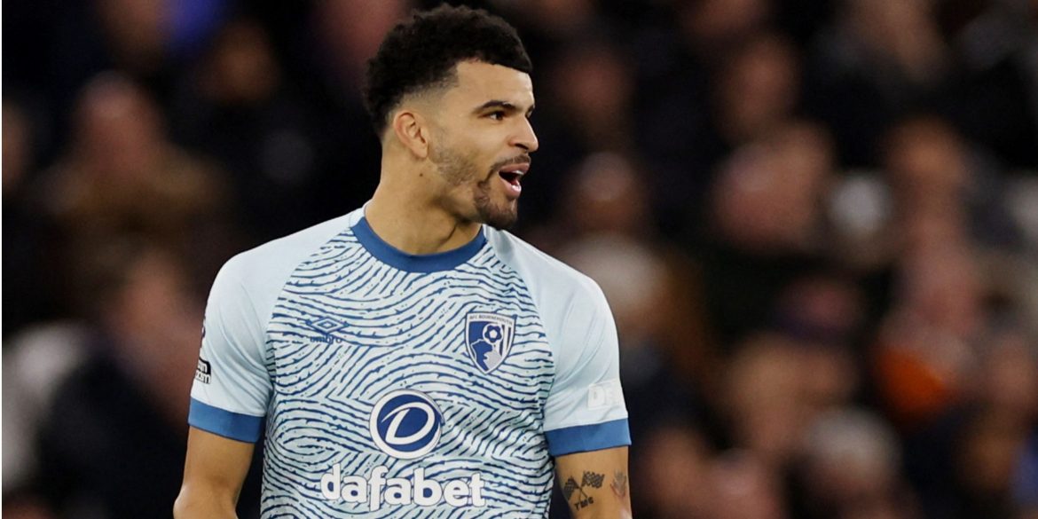 Spurs already have their answer to Dominic Solanke in teenage "unit"